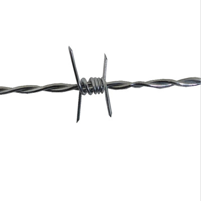 QQ图片20190708111302_副本