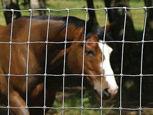 Cattle Grassland Field Fence Weaving Machine