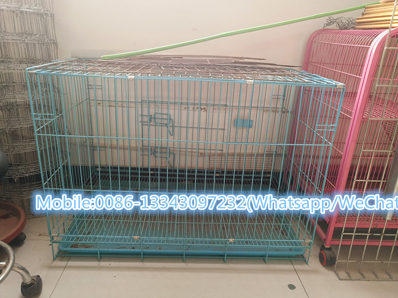 工厂拍的图片IMG_20190225_103328_wps图片